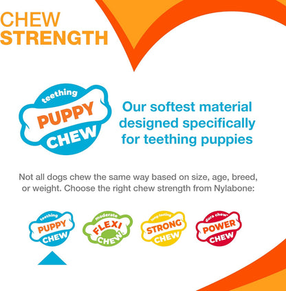 Freezer Knuckle Bone Puppy Chew Toy, Soothing Teething Toys for Puppies, Color Changing, Lamb & Apple Flavor, Small Dogs - up to 25 Lbs., 1 Count
