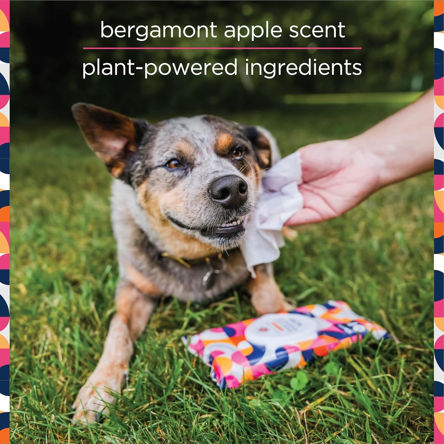 Wipes for Dogs, 40Ct, Hypoallergenic, Bergamot Apple Scent, Sensitive Skin Grooming Wipes for Paws, Body & Butt, Plant-Based, Moisturizing with Aloe & Calendula, USA Made (1 Pack)
