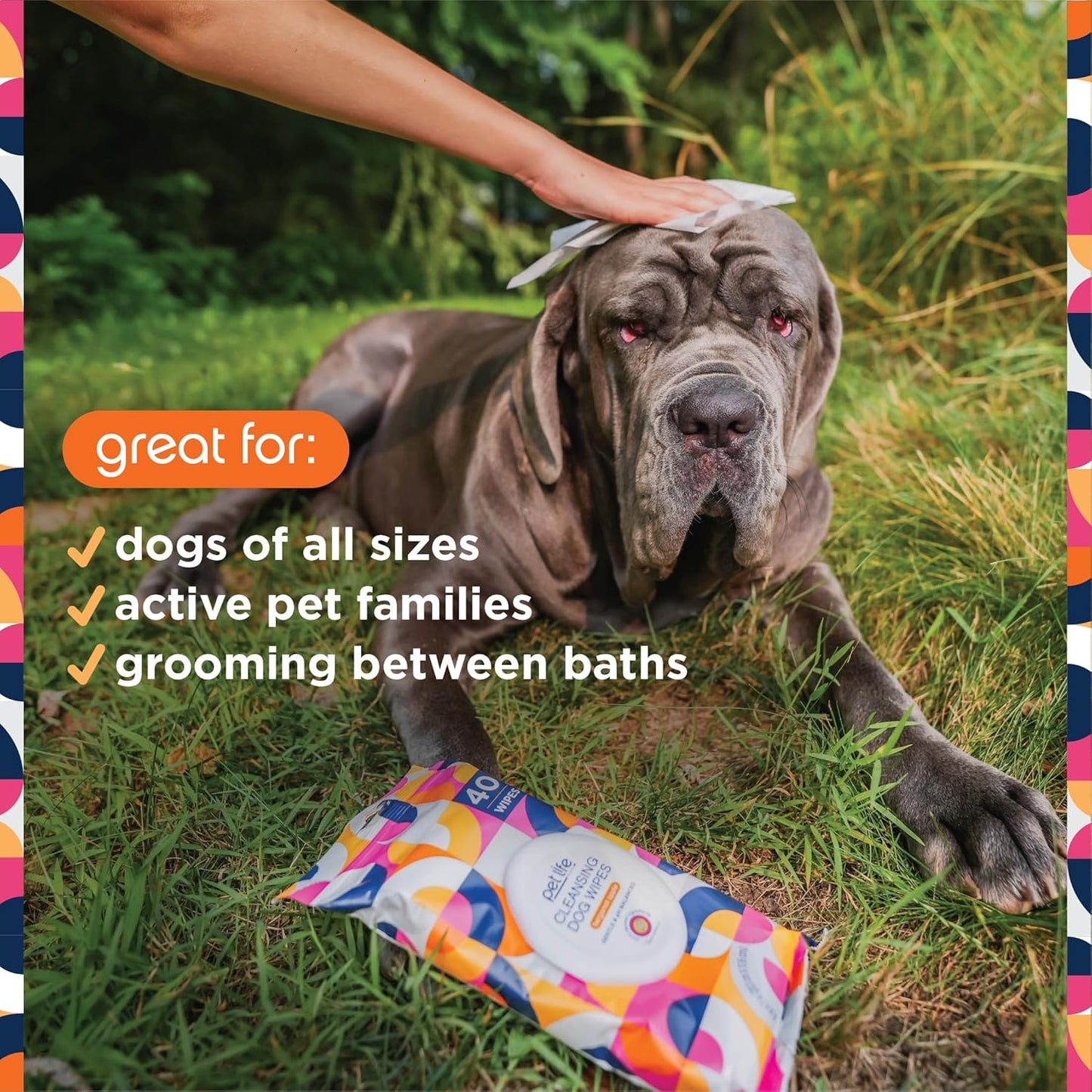 Wipes for Dogs, 40Ct, Hypoallergenic, Bergamot Apple Scent, Sensitive Skin Grooming Wipes for Paws, Body & Butt, Plant-Based, Moisturizing with Aloe & Calendula, USA Made (1 Pack)