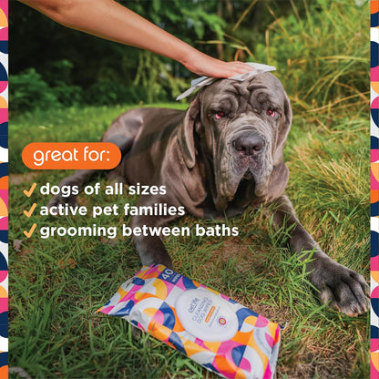 Wipes for Dogs, 40Ct, Hypoallergenic, Bergamot Apple Scent, Sensitive Skin Grooming Wipes for Paws, Body & Butt, Plant-Based, Moisturizing with Aloe & Calendula, USA Made (1 Pack)