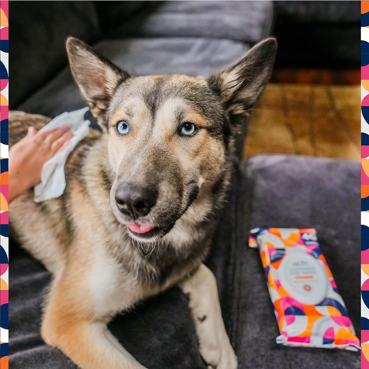 Wipes for Dogs, 40Ct, Hypoallergenic, Bergamot Apple Scent, Sensitive Skin Grooming Wipes for Paws, Body & Butt, Plant-Based, Moisturizing with Aloe & Calendula, USA Made (1 Pack)